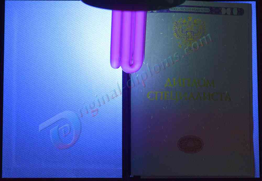 Диплом специалиста 2014-2026